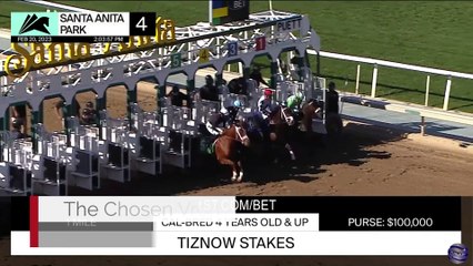 Fastest Horse of the Week for March 2, 2023: Presented by WinStar