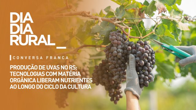 Produção de uvas: tecnologias com matéria orgânica liberam nutrientes ao longo do ciclo da cultura