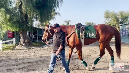 1/ST Things 1/ST at Santa Anita: Checking in with The Chosen Vron
