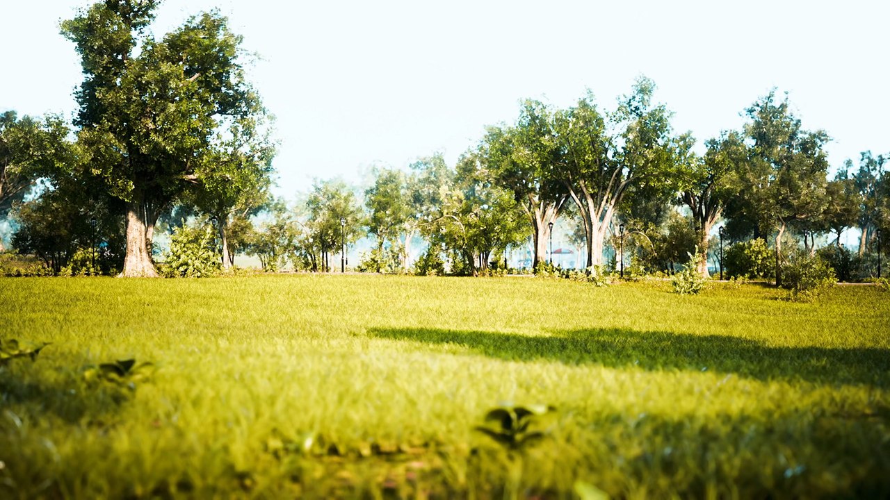 Leeds and Bradford Parks: Have Your Say on Making Green Spaces Safer and More Accessible