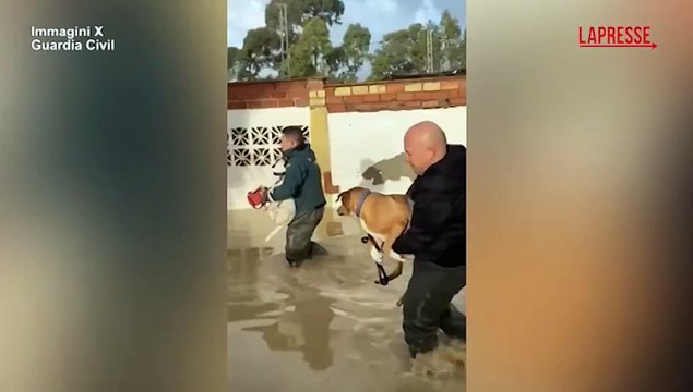 Maltempo in Spagna, evacuate centinaia di famiglie nei comuni di Malaga