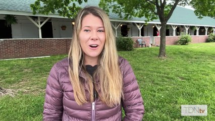 Two Phil's carries the flag for his Chicago home team