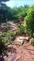 Moradores denunciam abandono no bairro Isabel Garden