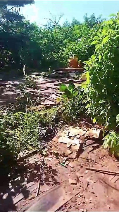 Moradores denunciam abandono no bairro Isabel Garden