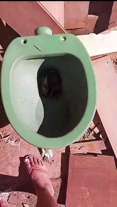 Moradores denunciam abandono no bairro Isabel Garden