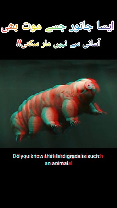 #Information#education