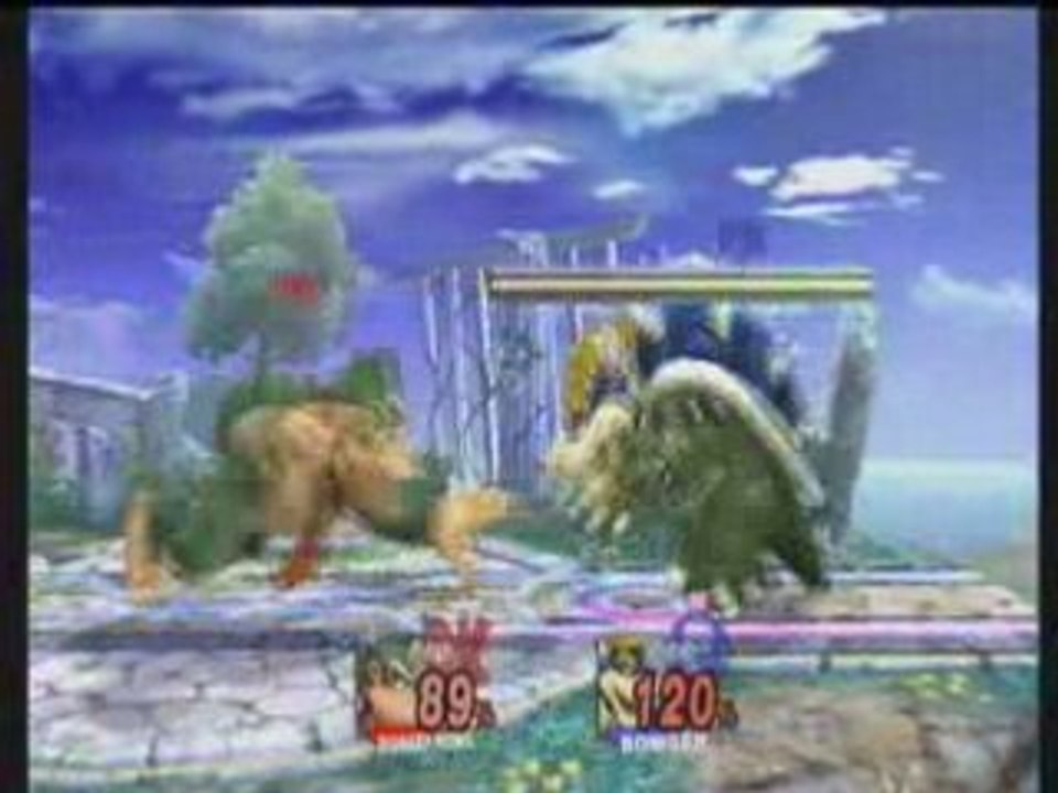 Brawl Infernoblaze (Bowser) Vs UDP (Donkey Kong)