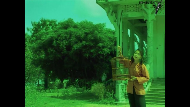 Cẩm Ly - Nỗi buồn chim sáo [OFFICIAL MV] [4K HD REMASTERED]