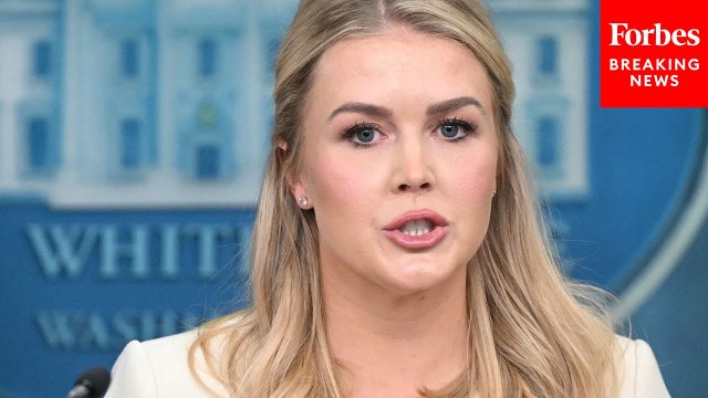 Karoline Leavitt Holds White House Press Briefing After Trump-Zelensky Phone Call