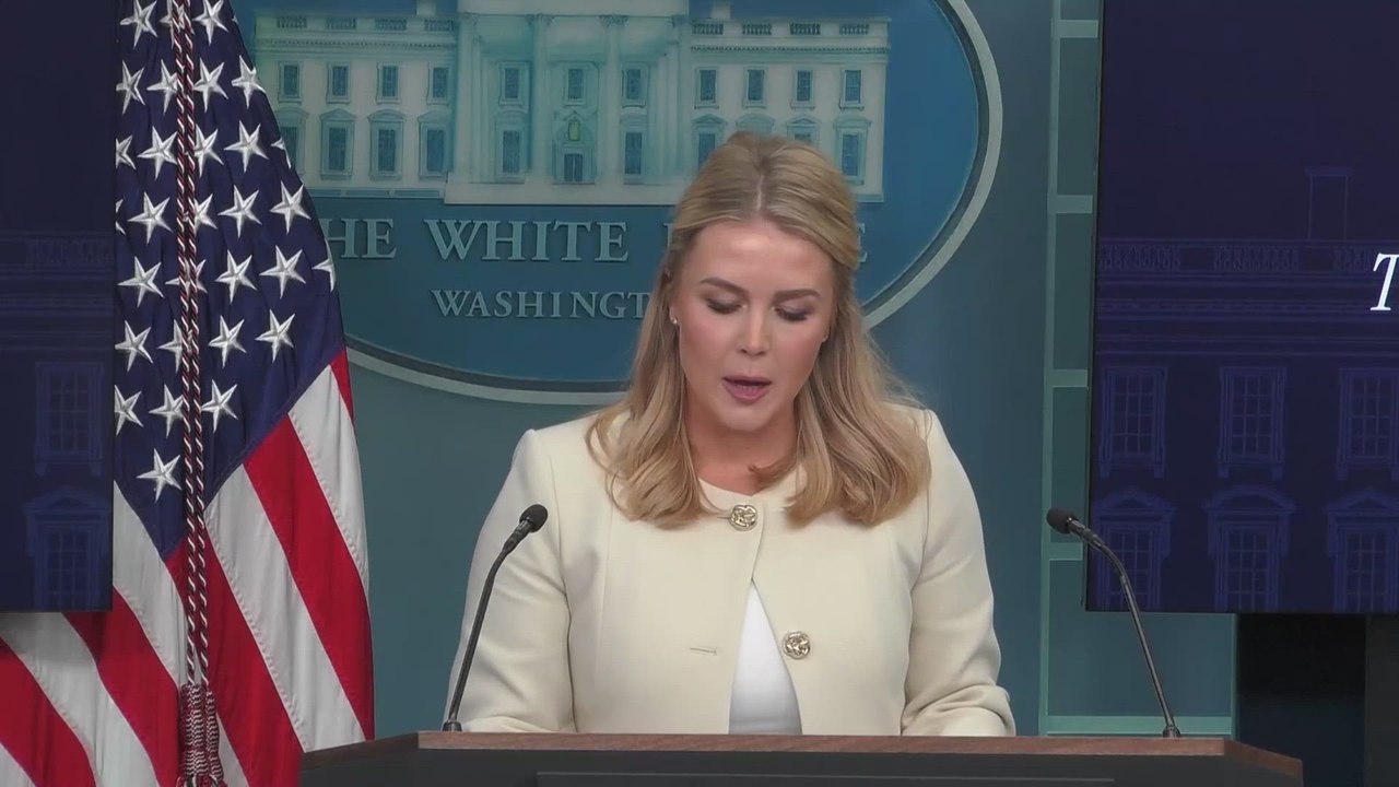 Trump-Zelensky ceasefire negotiation call content revealed by Karoline Leavitt