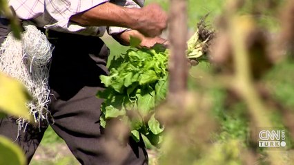 SON DAKİKA HABERİ: Çiftçilerle İftar Programı! Cumhurbaşkanı Erdoğan'dan önemli açıklamalar