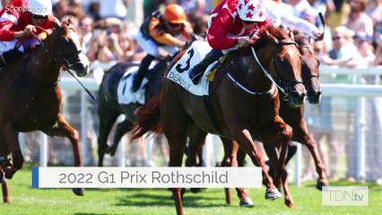 Tattersalls Sceptre Sessions Next For Saffron Beach