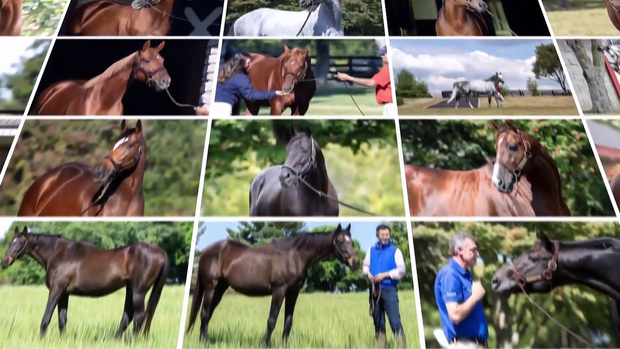 Breeders' Cup: Celebrating 40 Years of the Breeders' Cup