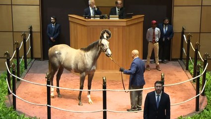 Three Chimneys Farm's Volatile a sire on fire with first yearlings