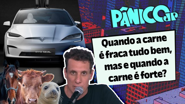 TESLA, JBS, BYD E SAMY DANA PROVAM QUE CAVALOS, BOIS E FOCAS ESTÃO MAIS VALORIZADOS QUE NUNCA