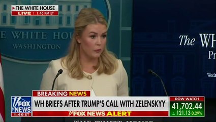 A reporter asked Leavitt if the president personally ordered the planes to stay in the air after a judge's order to turn them back