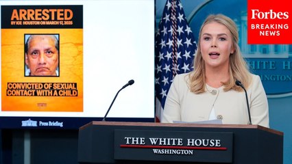 Karoline Leavitt Announces New Arrests In Trump's 'Mass Deportation Campaign'
