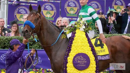 Meet Champion Flightline's First Foal