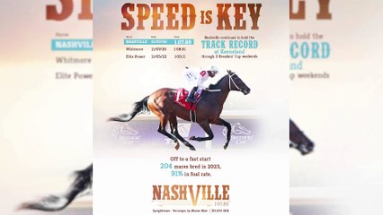 A Golden Performance in New York for the Fastest Horse This Week