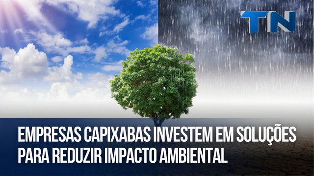Empresas capixabas investem em soluções para reduzir impacto ambiental