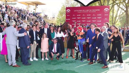 Undefeated Ace Impact takes up residence at Haras de Beaumont