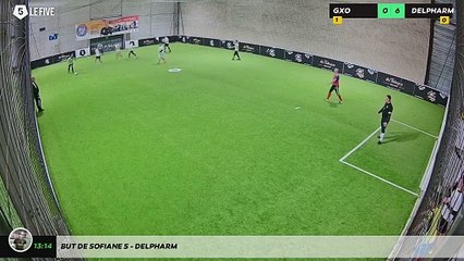 But de Sofiane S - Delpharm