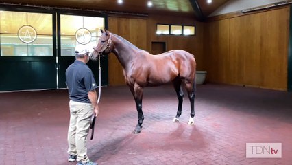 Who's The Fastest Horse of The Week? Hint: He's a Cal-Bred