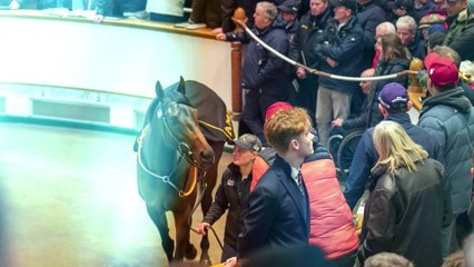 Classic Winner Cachet To Be Offered At Tattersalls Sceptre Session