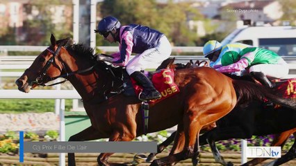 G1 Winner Via Sistina Bound To Attract Attention At Tattersalls Sceptre Sessions