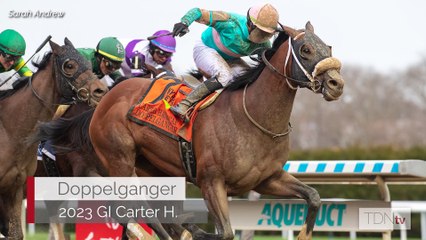 Pleasant Acres Stallions Welcomes Four Promising Newcomers