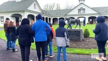 Visiting Horse Country Tours: Spendthrift Farm
