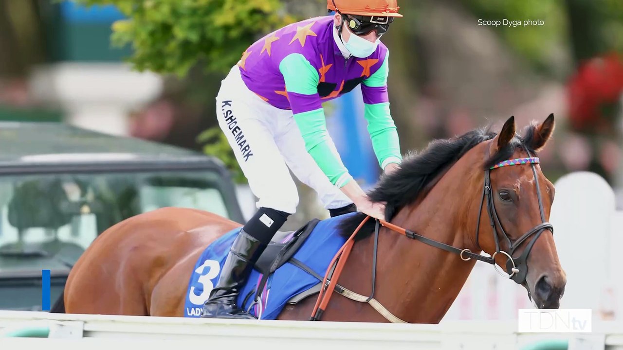 Fittocks Stud A Shining Star Amongst England's Stud Farms