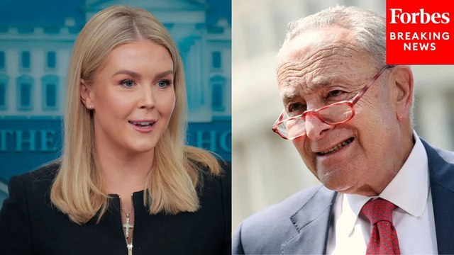 Karoline Leavitt Mocks Dems When Asked About Schumer Quote: 'Their Approvals Are At An All-Time Low'