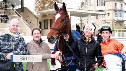 Meet Alpinista's First Foal by Dubawi