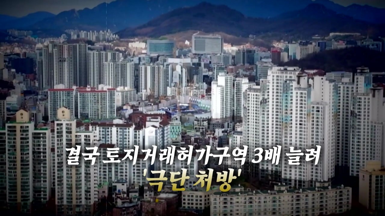 [영상] 결국 3배로 늘렸다...'토허제' 5주 만의 번복 / YTN