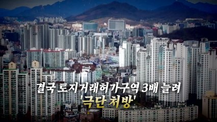 [영상] 결국 3배로 늘렸다...'토허제' 5주 만의 번복 / YTN
