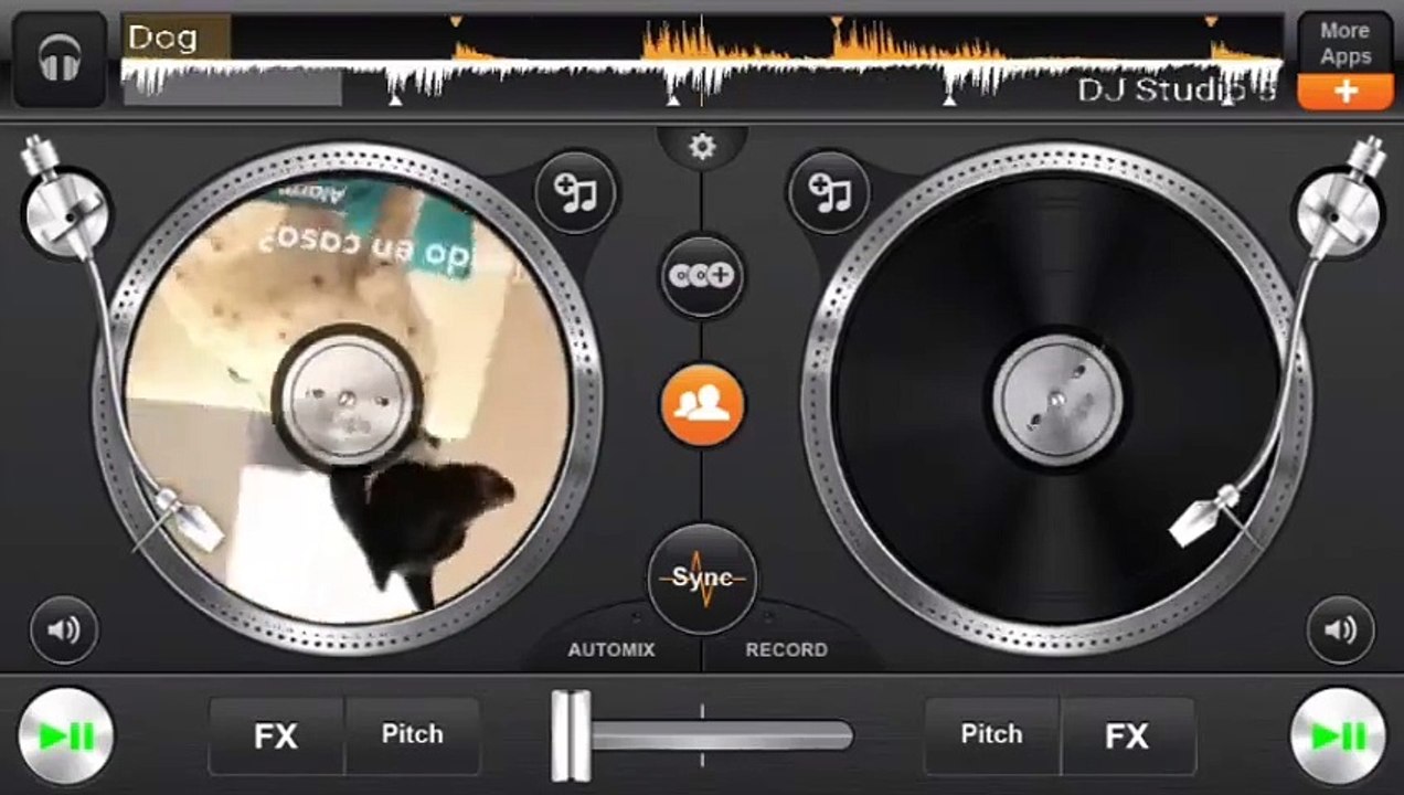 Midi Mafia - Dog Gets Sued (Official Video)