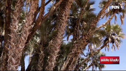 الديهي من أرض طابا: هذه الأرض اتروت بدماء المصريين ..هذا المكان له قدسية ومش هنسيب سيناء