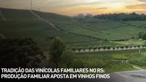 Tradição das vinícolas familiares no RS: produção familiar aposta em vinhos finos
