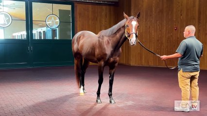 Iowa-bred Topper T is Fastest Horse of the Week
