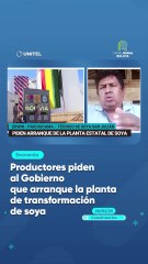 Productores piden al Gobierno que arranque la planta de transformación de soya