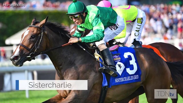 First Yearlings for Arqana-Grad Sottsass on the Market in Deauville