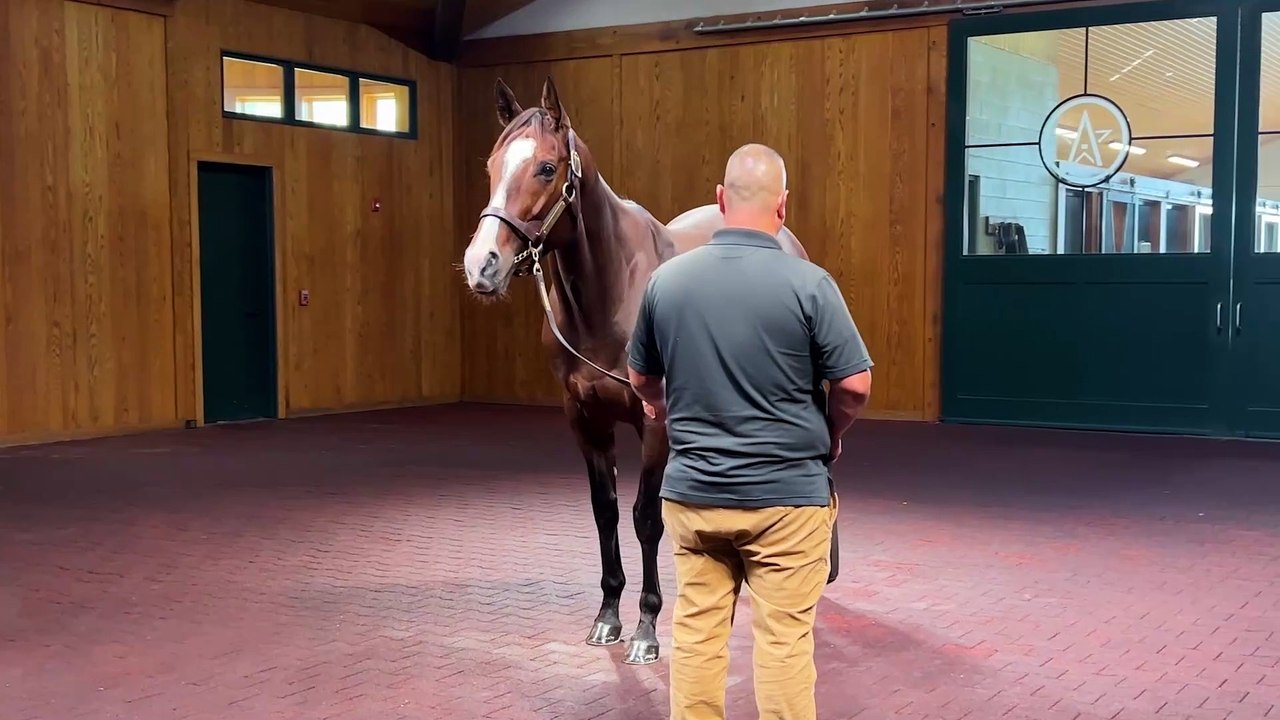 Not One, But Two Fastest Horses The Last Week of July!