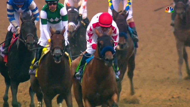 Corniche: First Foals