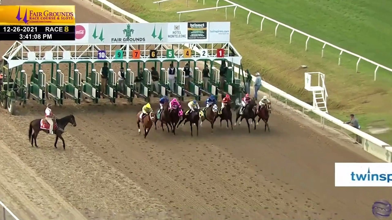 Chess Chief at Pleasant Acres Stallions