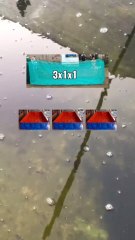 Budidaya hanya 3 kolam, bagaimana cara sortirnya, Begini caranya