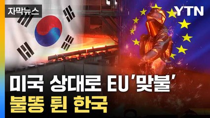 [자막뉴스] 트럼프 맞선 '긴급조치'... EU 발표에 한국 '불똥' / YTN
