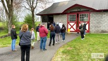 Visiting Horse Country Tours: Taylor Made Farm