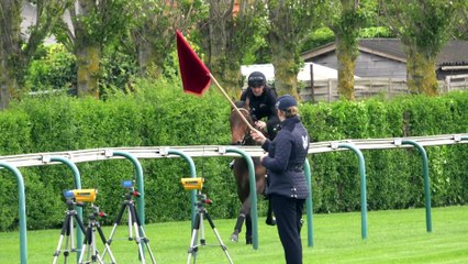 2024 Breeze Up Sale Teaser