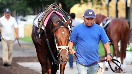 Breeders' Cup Connections: Sweet Azteca and Zurdo Estrada